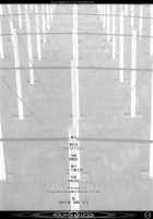 Quickening / Quickening [Tsuji Takeshi] [Neon Genesis Evangelion] Thumbnail Page 24