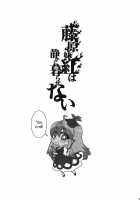 Fujiwara Mokou Wa Shizukani Kurasenai / 藤原妹紅は静かに暮らせない [Yumiya] [Touhou Project] Thumbnail Page 29