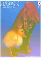 Healing Note / ヒーリングノート [Atene] [Eyeshield 21] Thumbnail Page 30