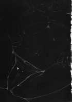 The 'I Want My Own Angel' Squad / アンヘルを飼い隊 [Sian] [King Of Fighters] Thumbnail Page 24