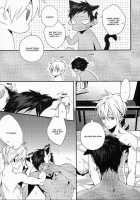 Kimi To Nekomimi / キミとネコミミ [Fujino] [Kuroko No Basuke] Thumbnail Page 15