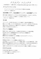 Distressed Female Wizard Collection / 乱されし女魔道士総集編 [Crimson] [Dragon Quest Viii] Thumbnail Page 90