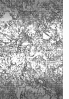 Tokubousentai Dinaranger Vol.17/18 [Monmon] [Original] Thumbnail Page 69