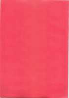 Usa Nyan / うさにゃん [Makuro] [Original] Thumbnail Page 22