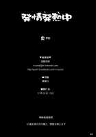 In A Mating Fever / 発情発熱中 [Ouma Tokiichi] [Touhou Project] Thumbnail Page 21