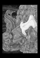 Monster Girl Quest! Beyond The End 4 / もんむす・くえすと!ビヨンド・ジ・エンド4 [Setouchi] [Monster Girl Quest] Thumbnail Page 77