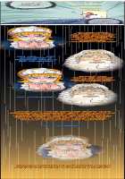 Me Ran Co Ri [Space No.1] [Original] Thumbnail Page 914