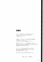 Touhou Mousou Kyou 14 / 東方妄想郷 14 [Toono Yayoi] [Touhou Project] Thumbnail Page 04