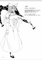 Touhou Mousou Kyou 13 / 東方妄想郷 13 [Toono Yayoi] [Touhou Project] Thumbnail Page 19