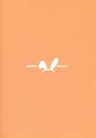 RAMBLING★BUNNY / RAMBLING★BUNNY [Shirota Dai] [Infinite Stratos] Thumbnail Page 17