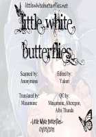 Miteru Dake De Iin Desu Ka? / みてるだけでいいんですか? [Sakurai Energy] [Touhou Project] Thumbnail Page 29