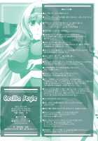 Cecilia Style / Cecilia Style [Izumi Mahiru] [Infinite Stratos] Thumbnail Page 33
