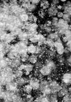 Nick / NICK [One Piece] Thumbnail Page 61