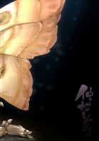 Yamahime No Mayu - Mountain Princess' Cocoon / 山姫ノ繭 [Nakamura Regura] [Original] Thumbnail Page 25