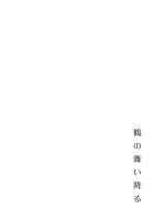 Tsuru No Maiodoru / 鶴の舞い降る [Ayuya] [Kantai Collection] Thumbnail Page 18