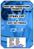 Noraneko / のらねこ [Ueda Yuu] [Original] Thumbnail Page 19