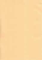 Chicken Maid Party / Chicken Maid Party [Mitsu King] [Mayo Chiki] Thumbnail Page 21