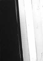 Shiragasane -Tamoto- | Layers of White 2 / 白襲-袂- [Solopipb] [Original] Thumbnail Page 34