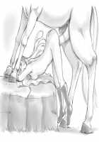 My Prince White Horse / 白馬がわたしの王子様 [Mizuiro Megane] [Original] Thumbnail Page 102