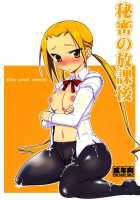 Himitsu No Houkago / 秘密の放課後 [Bbsacon] [Seitokai Yakuindomo] Thumbnail Page 01