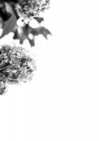 Nora Neko to Rainy Days / のらねことレインデイズ [Ao_Iro] [Original] Thumbnail Page 26