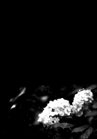 Nora Neko to Rainy Days / のらねことレインデイズ [Ao_Iro] [Original] Thumbnail Page 51