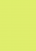 Kouki - Brilliance / 光輝-brilliance- [Suzuragi Karin] [Final Fantasy IX] Thumbnail Page 38