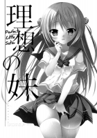 Risou no Imouto / 理想の妹 [Amanagi Seiji] [Original] Thumbnail Page 04