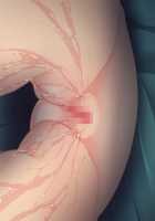 Shin NOZOKI Ma 2 ～ Jogakuryou no Himitsu ～ / 真・NOZOKI魔2～女学寮の秘密～ [Ayakaze Ryuushou] [Original] Thumbnail Page 562