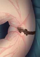 Shin NOZOKI Ma 2 ～ Jogakuryou no Himitsu ～ / 真・NOZOKI魔2～女学寮の秘密～ [Ayakaze Ryuushou] [Original] Thumbnail Page 564