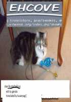 Angura / アングラ [Marin] [Yu-Gi-Oh 5Ds] Thumbnail Page 31