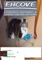 Datte Kemono da mono. / ダッテケモノダモノ。 [Kanei Yoh] [Yu-Gi-Oh 5Ds] Thumbnail Page 31