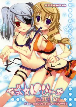 Natsushiki IS Beach / 夏式IS☆びーち [Fujima Takuya] [Infinite Stratos]