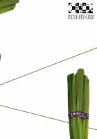 Fukuyama-san 3 - Eruption / 福山さん3 大噴火 [Fuetakishi] [Original] Thumbnail Page 38