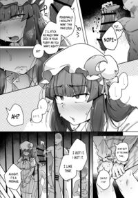 Ana to Muttsuri Dosukebe Daitoshokan 5 / 穴とむっつりどすけべだいとしょかん 5 [Flanvia] [Touhou Project] Thumbnail Page 11