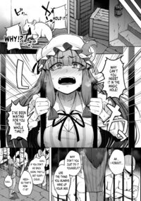 Ana to Muttsuri Dosukebe Daitoshokan 5 / 穴とむっつりどすけべだいとしょかん 5 [Flanvia] [Touhou Project] Thumbnail Page 05