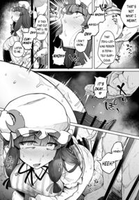 Ana to Muttsuri Dosukebe Daitoshokan 5 / 穴とむっつりどすけべだいとしょかん 5 [Flanvia] [Touhou Project] Thumbnail Page 08