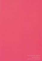 Kimi Shika Shiranai [Edamomo] [Free] Thumbnail Page 22