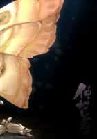 Mountain Princess' Cocoon / 山姫ノ繭 [Nakamura Regura] [Original] Thumbnail Page 25