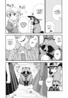 Sloppy Meal of Tanuki Soba / てぬきご飯にたぬきそば [Kannari] [Touhou Project] Thumbnail Page 17