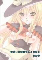 Yumeiro Mahou Shoujo / ゆめいろまほうしょうじょ [Shinonome Ryu] [Touhou Project] Thumbnail Page 28