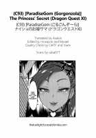 The Princess' Secret / ナイショのお姫サマ [Gorgonzola] [Dragon Quest XI] Thumbnail Page 27