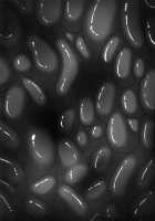 We Kunoichi Fell Into Darkness Third / 闇に堕つくノ一たち THIRD [R-Wade] [Taimanin] Thumbnail Page 37