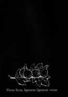 Ficus 2 / Ficus 2 [Tamy] [Shingeki No Kyojin] Thumbnail Page 48