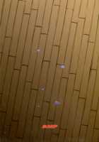 Inma-jutsu Kyousei Koubi / 淫魔術強制交尾 [Norakuro Nero] [Rokudenashi Majutsu Koushi To Akashic Records] Thumbnail Page 30