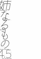 Ane Naru Mono Zenshuu 1 / 姉なるもの全集1 [Pochi.] [Ane Naru Mono] Thumbnail Page 110