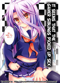 Gamer Kyoudai ga Sex wo Oboeta You desu / ゲーマー兄妹がセックスを覚えたようです [Narumi Yuu] [No Game No Life]