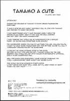 Tamamo to H Dekiru Fuuzokuten / タマモとHできる風俗店 [Nyuu] [Fate] Thumbnail Page 21