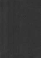 Osaka Bitch NTR / オサカビッチNTR [Muneshiro] [Fate] Thumbnail Page 29