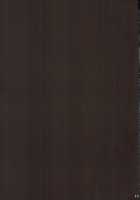 Jukon no Hana Kankyou Rourakusu / 呪懇ノ華 艦狂籠絡ス [Tomiyama Akiji] [Kantai Collection] Thumbnail Page 17